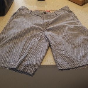 Izod Shorts